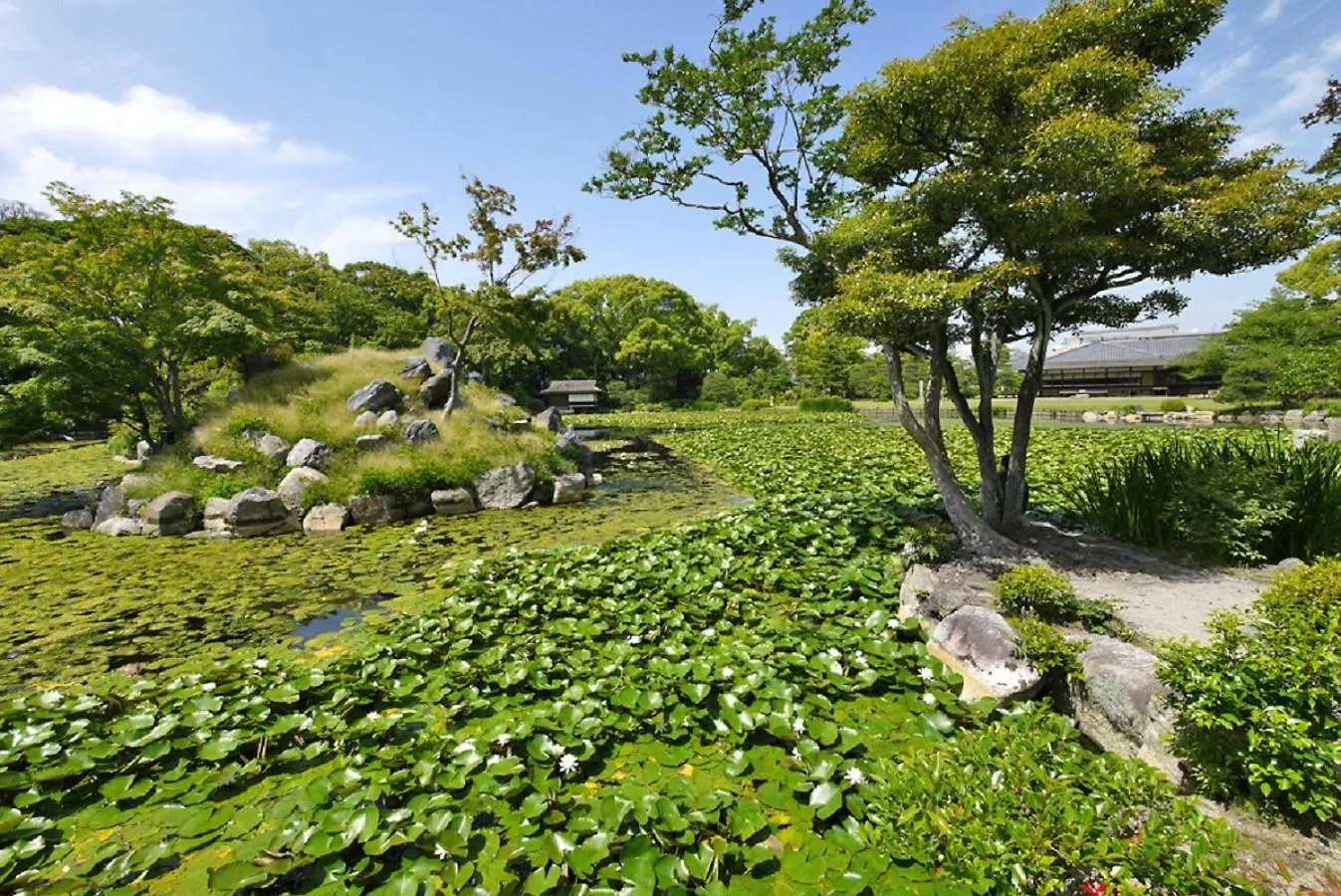 Hotel Il Verde Kyoto
